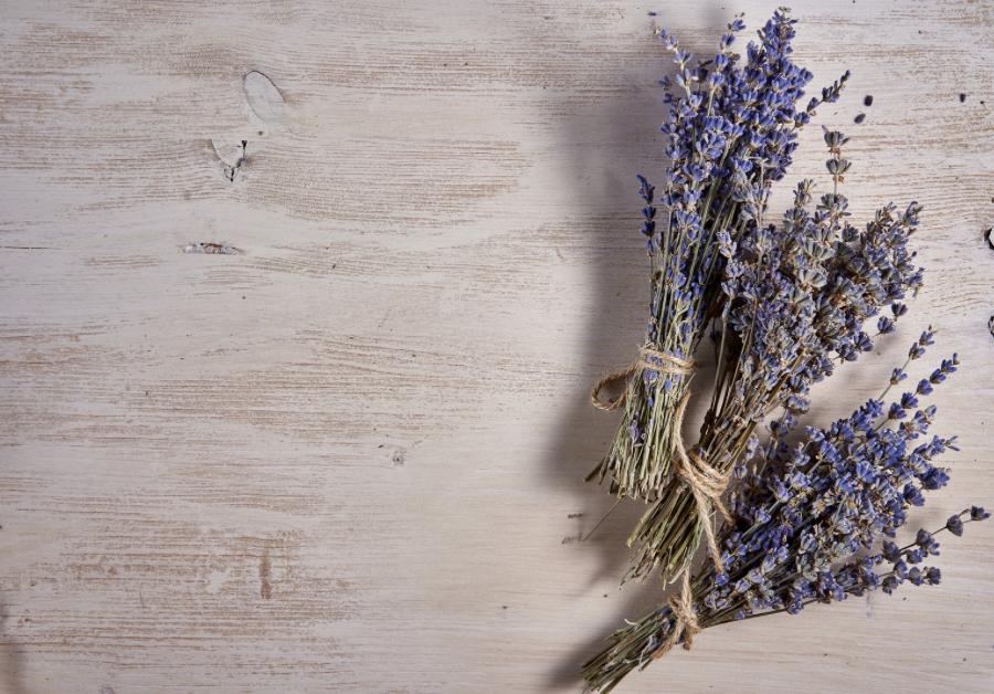 Wohlbefinden & Entspannung