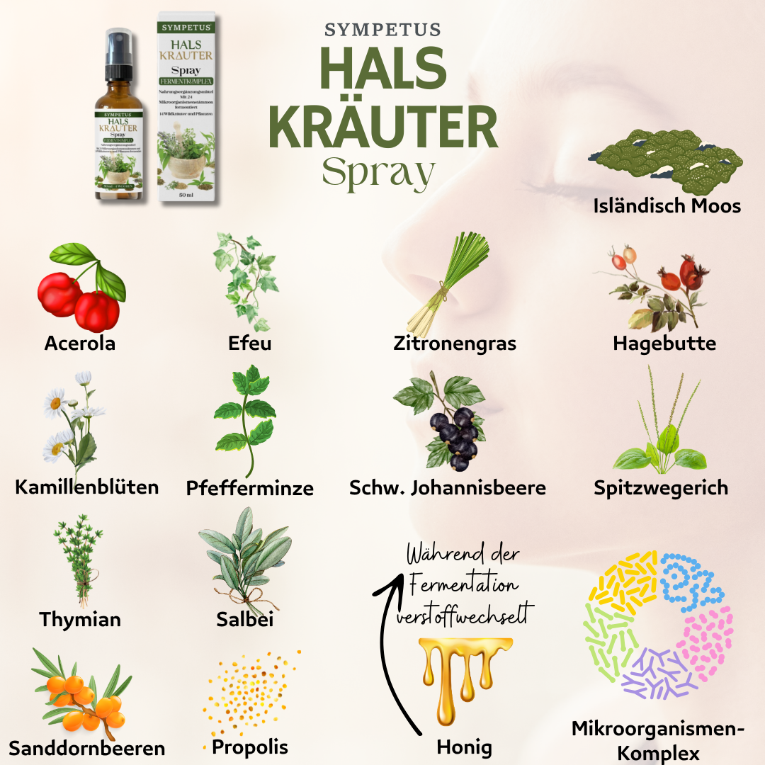 SYMPETUS GORGE HERB SPRAY BIO FERMENT COMPLEXE - Flacon pulvérisateur en verre 50 ml