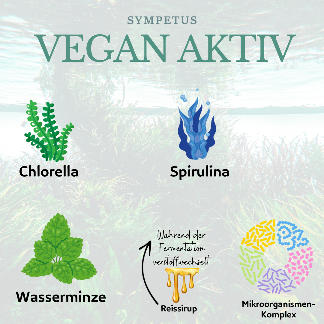 SYMPETUS VEGAN AKTIV Ferment-Komplex BIO - 500 ml