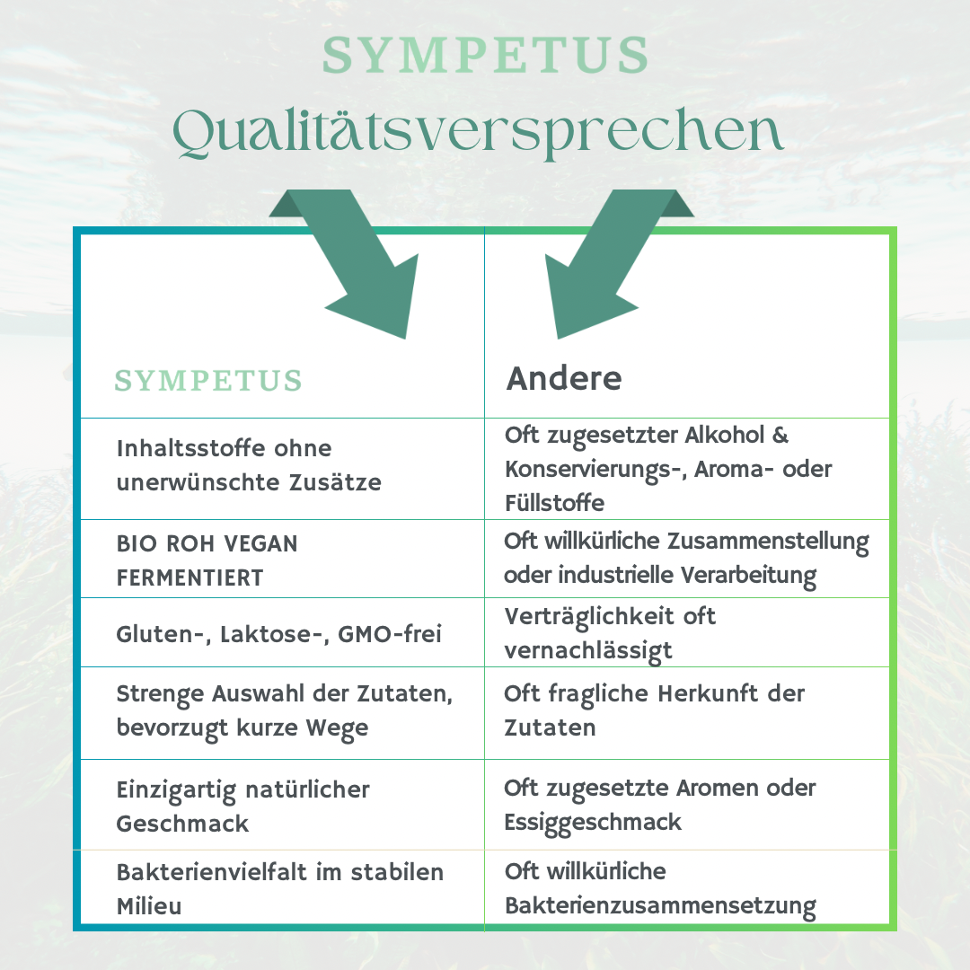 SYMPETUS VEGAN AKTIV Ferment-Komplex BIO - 500 ml