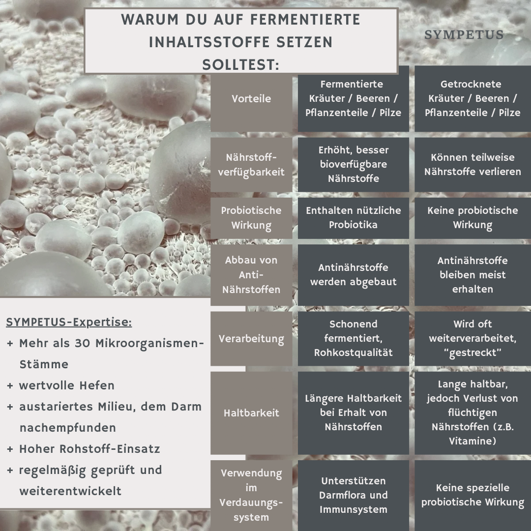 SYMPETUS BITTER DROPS COMPLEXE FERMENTAIRE bio - Flacon en verre de 50 ml avec pipette