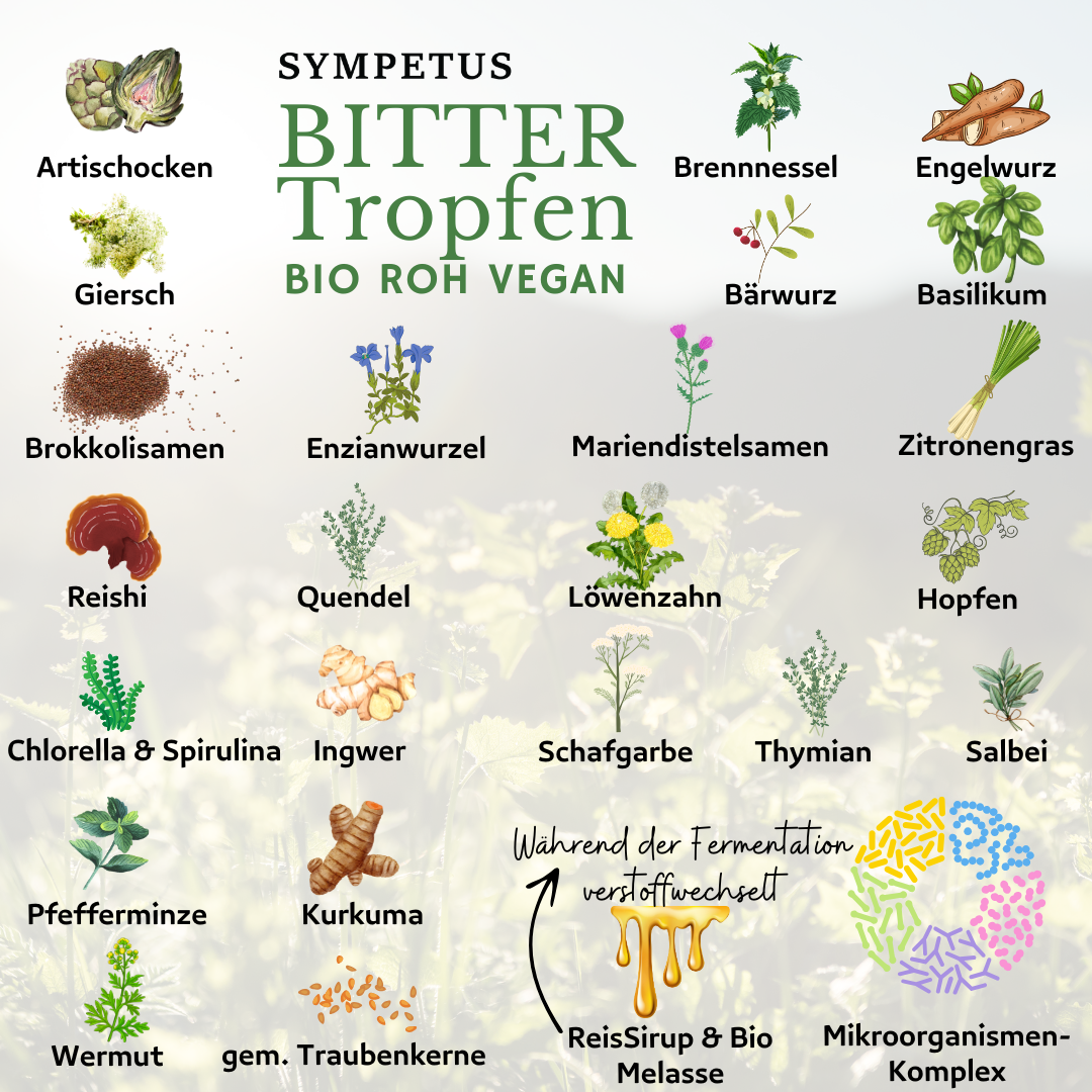 SYMPETUS BITTER DROPS COMPLEXE FERMENTAIRE bio - Flacon en verre de 50 ml avec pipette