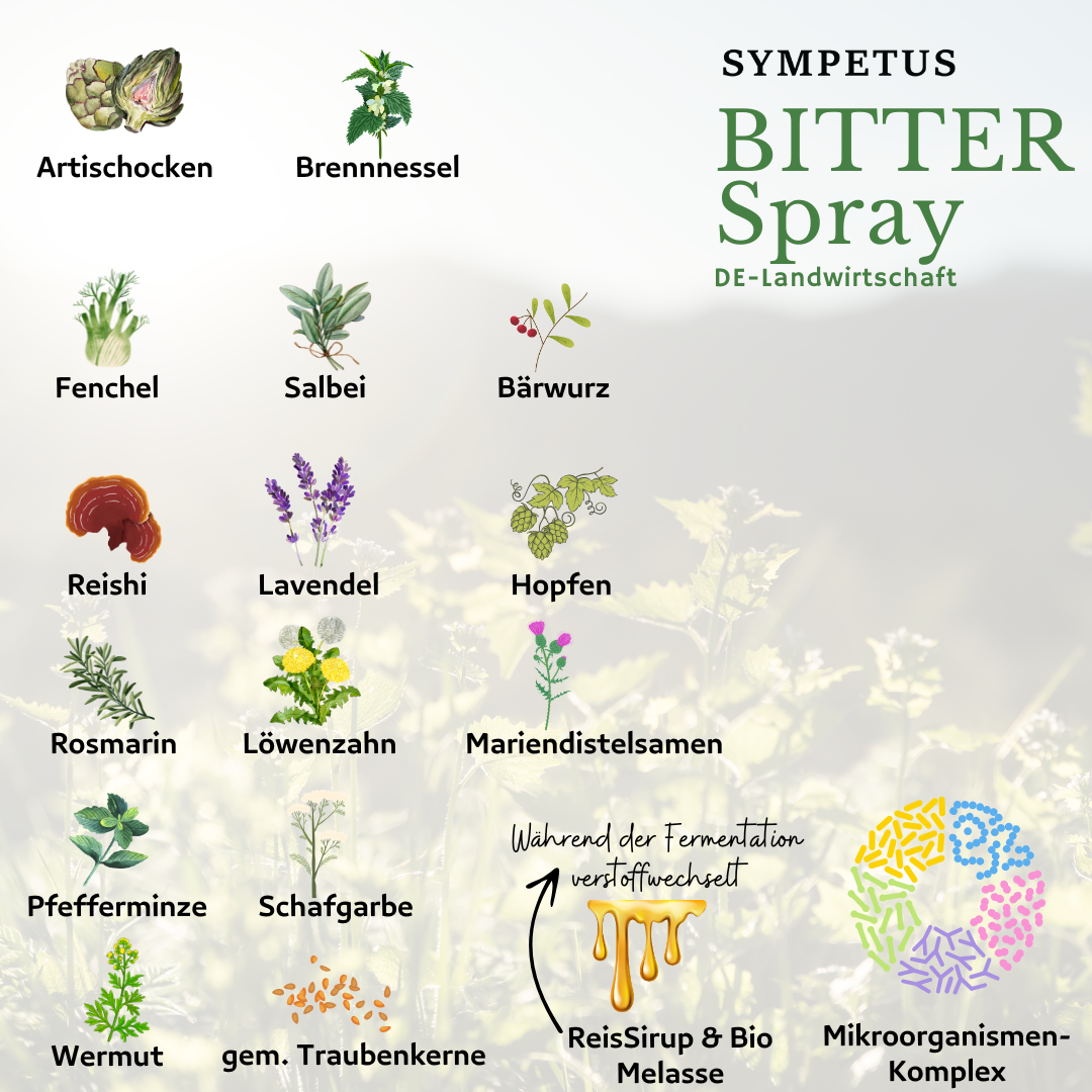 SYMPETUS BITTER MOUTH SPRAY organic FERMENT COMPLEX - 50 ml glass spray bottle