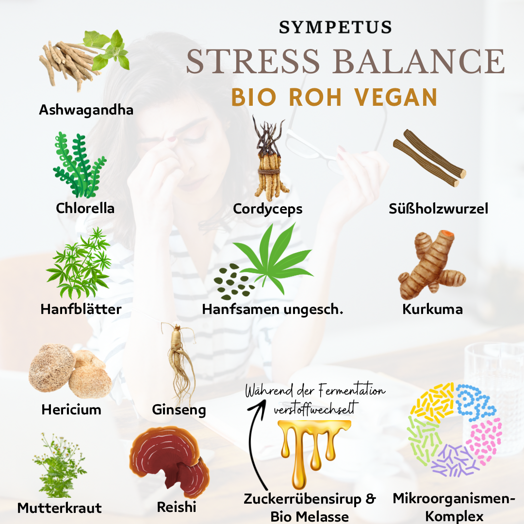 SYMPETUS STRESS BALANCE Ferment Complex ORGANIC - 500 ml