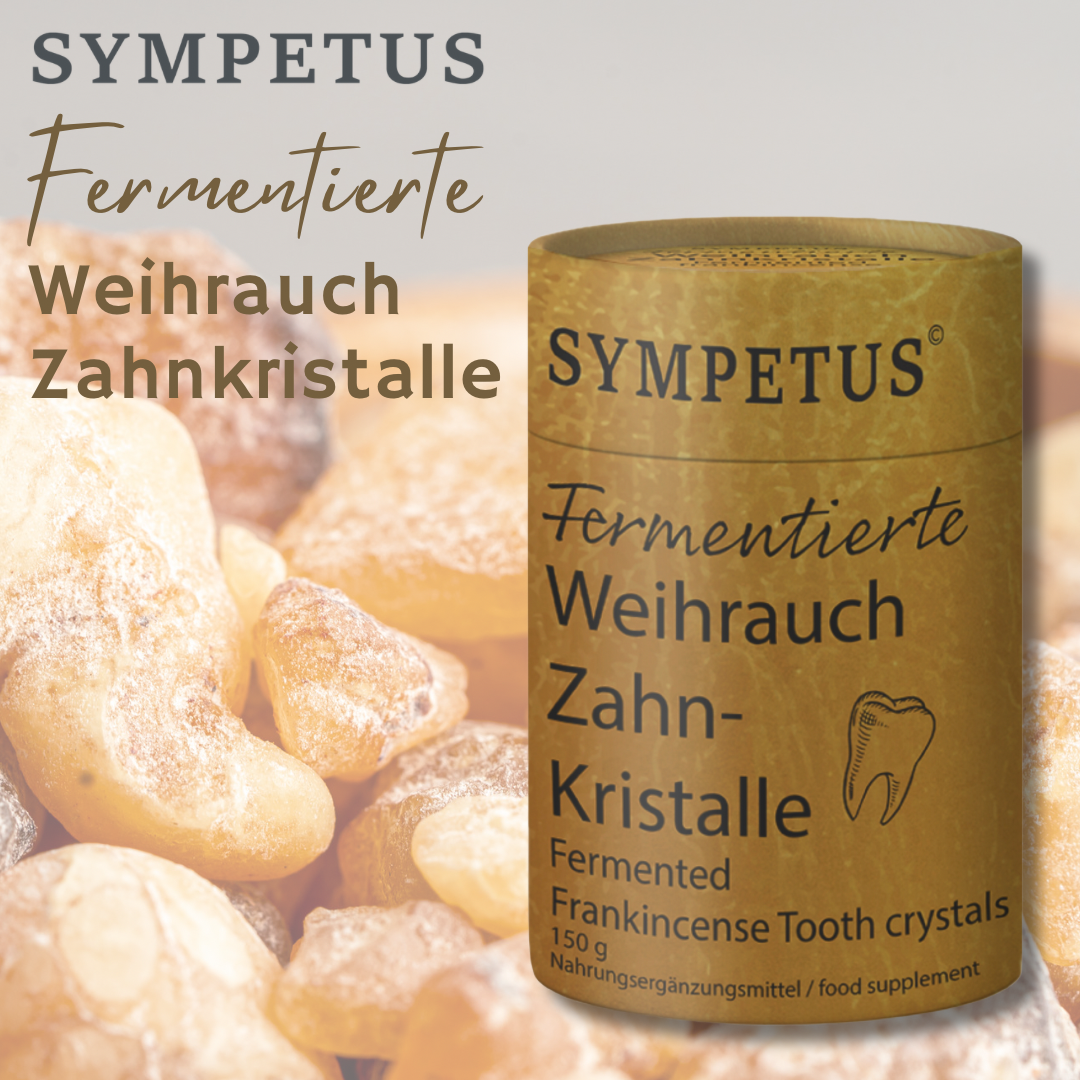 SYMPETUS Fermentierte Weihrauch ZAHNKRISTALLE - 150g