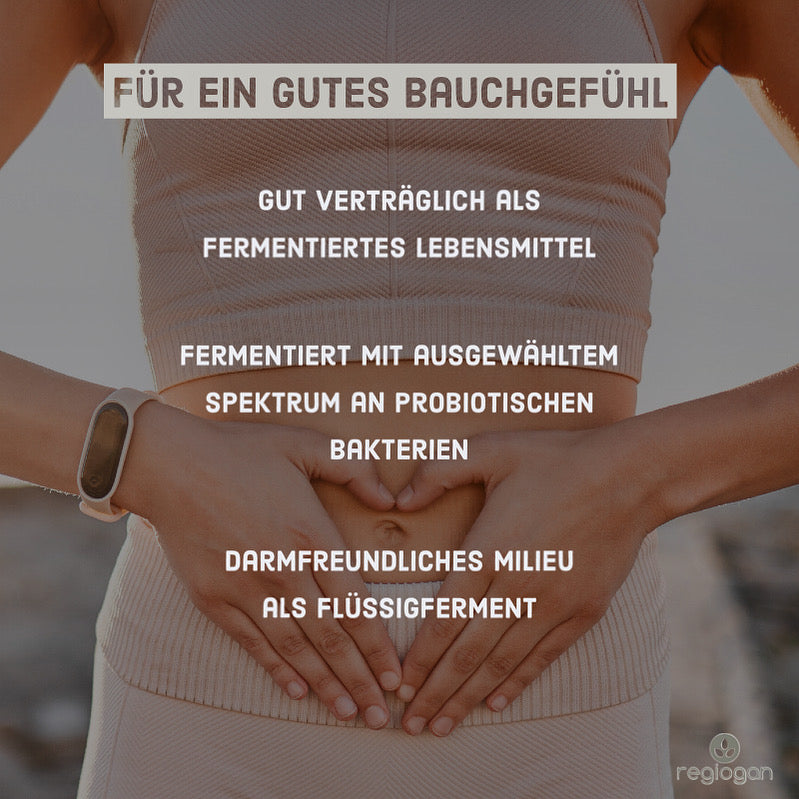 regiogan KURKUMA-CHILI-INGWER rohes Ferment BIO 500 ml