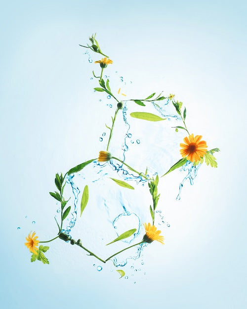 Mental Wellness / Biohacking