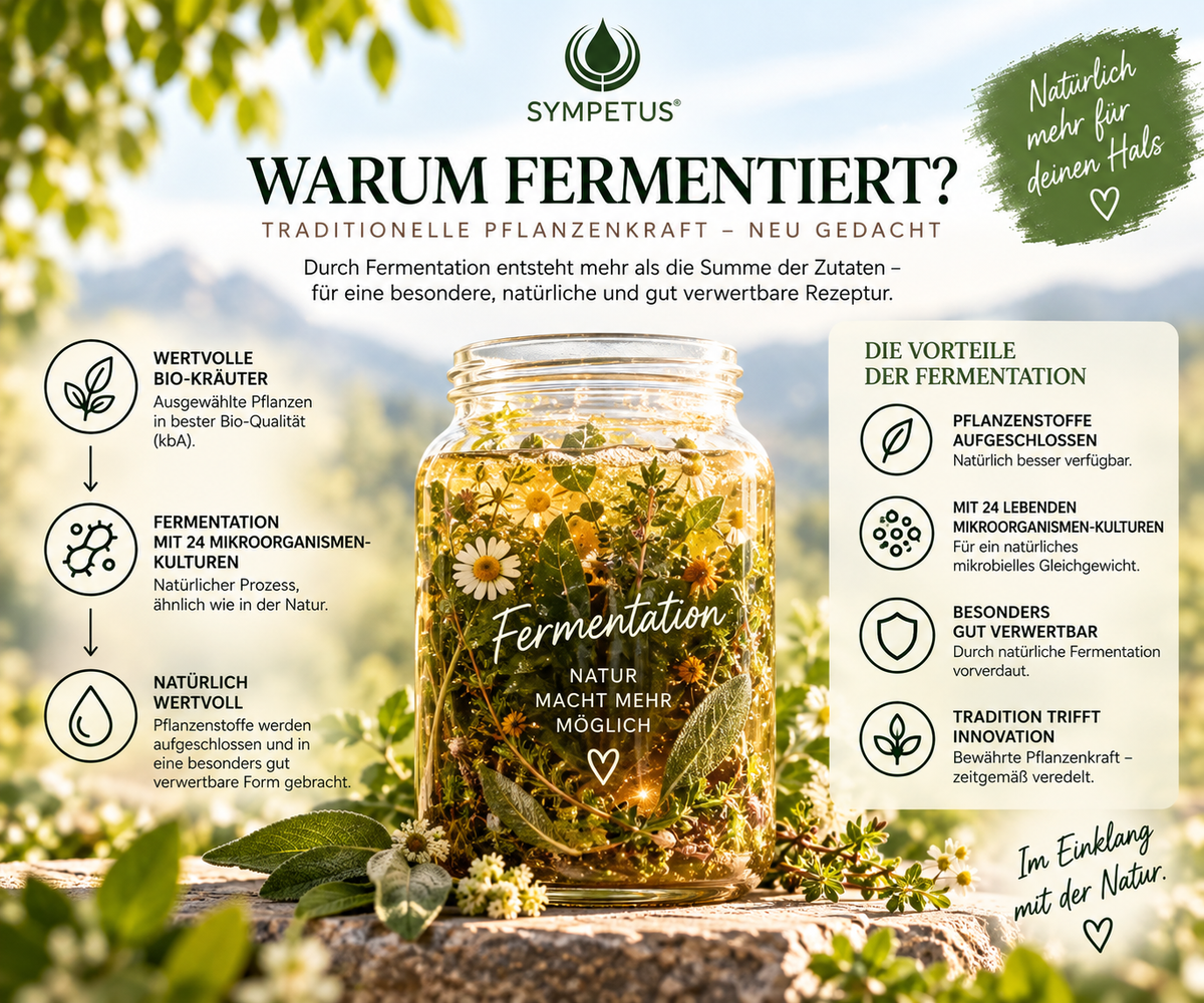 SYMPETUS GORGE HERB SPRAY BIO FERMENT COMPLEXE - Flacon pulvérisateur en verre 50 ml