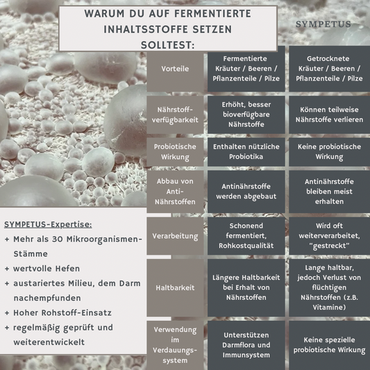 SYMPETUS CALM DOWN Einschlaf-Spray fermentierter Extrakt ohne Melatonin (50 ml)