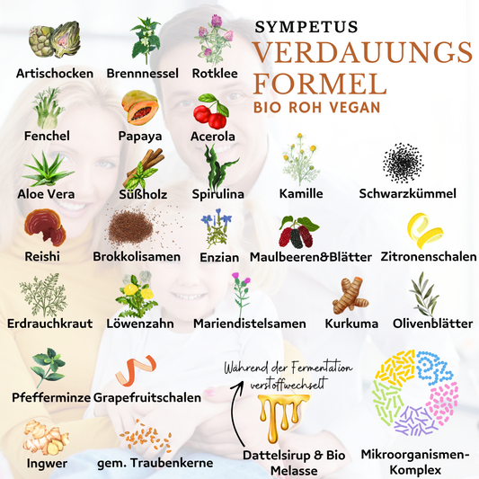 SYMPETUS BIOTISYM FORMULE DIGESTIVE COMPLEXE FERMENTAIRE BIO - Flacon verre 500 ml