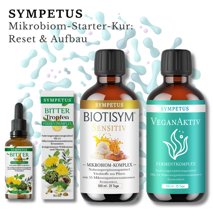 Mikrobiom-Starter-Kur: Reset & Aufbau – 3 Wochen Einsteiger Ferment-Kur