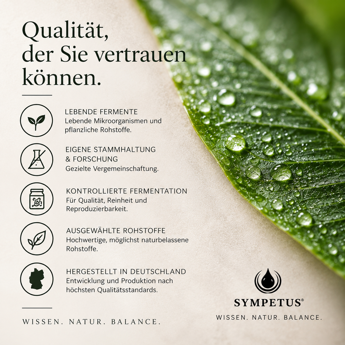 SYMPETUS BIOTISYM® MIKROBIOM KUR – 3-Phasen-System