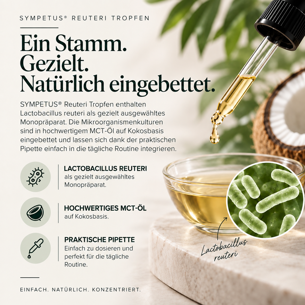 SYMPETUS REUTERI TROPFEN 50 ml