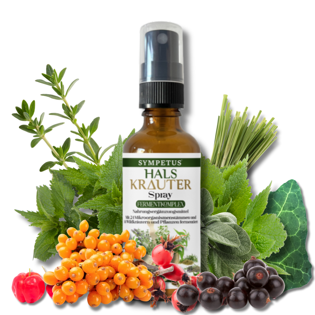 SYMPETUS HALS-KRÄUTER Spray BIO - 50 ml