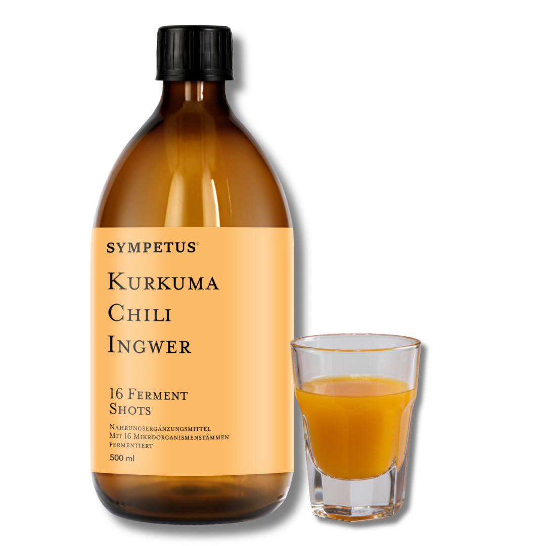 SYMPETUS KURKUMA-CHILI-INGWER 16 Ferment Shots BIO 500 ml