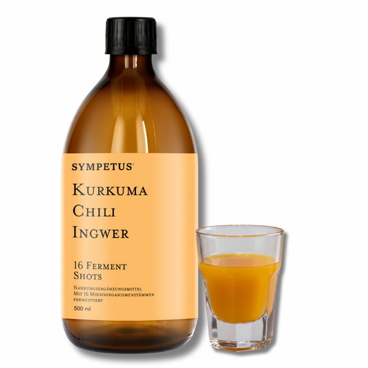 SYMPETUS KURKUMA-CHILI-INGWER 16 Ferment Shots BIO 500 ml
