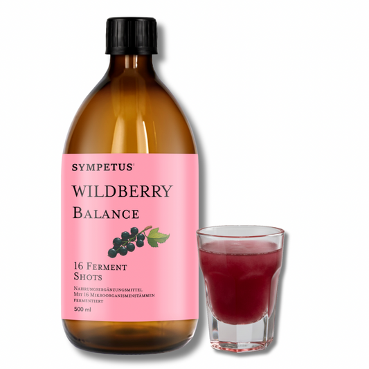 SYMPETUS WILDBERRY BALANCE Ferment 16 Shots BIO - 500 ml