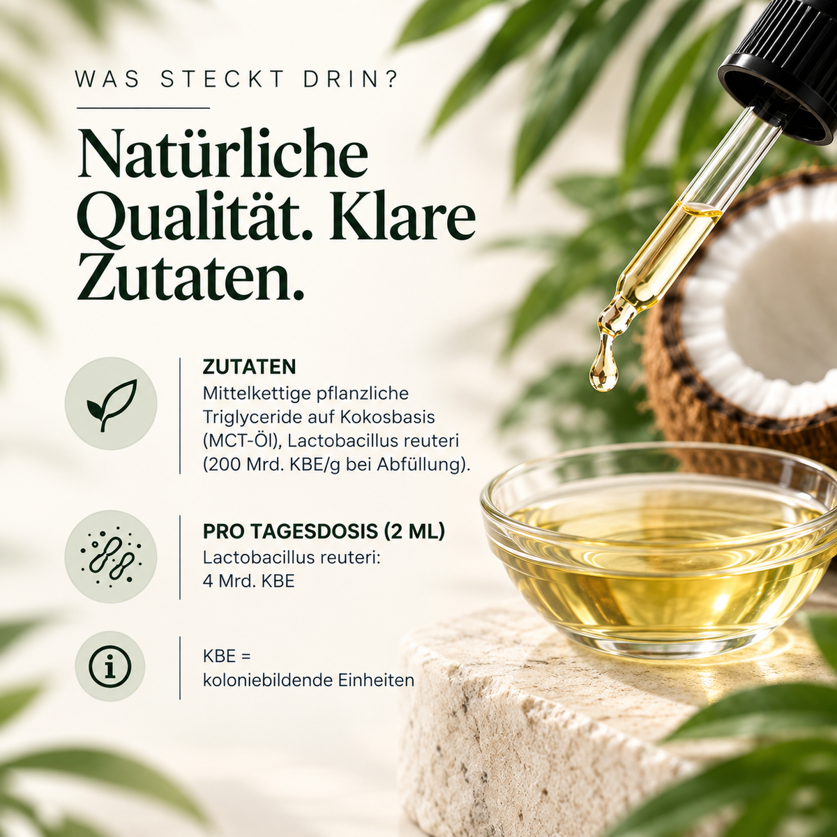 SYMPETUS REUTERI TROPFEN 50 ml