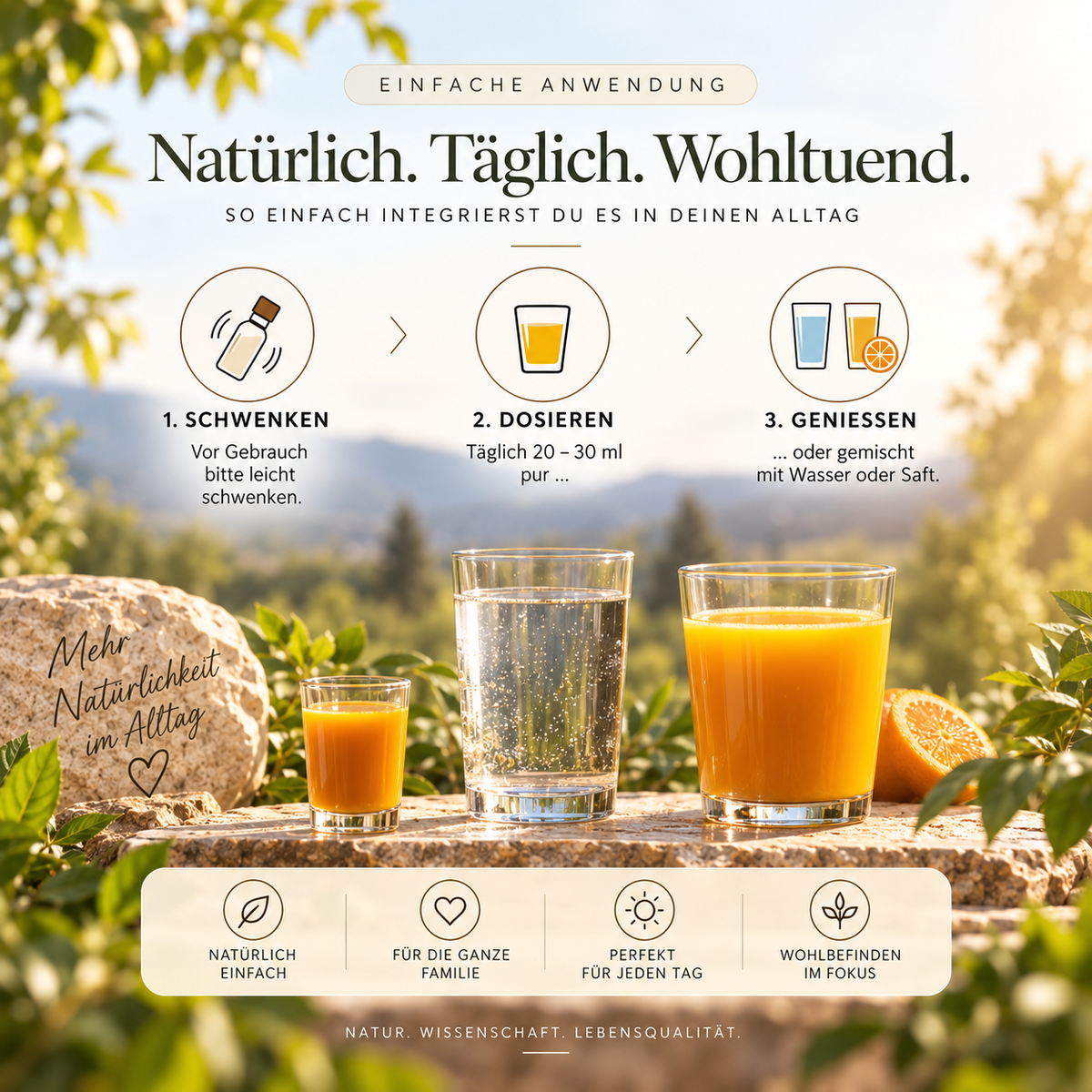 regiogan CURMER-CHILI-GINGEMBRE ferment végétal cru biologique bouteille en verre de 500 ml