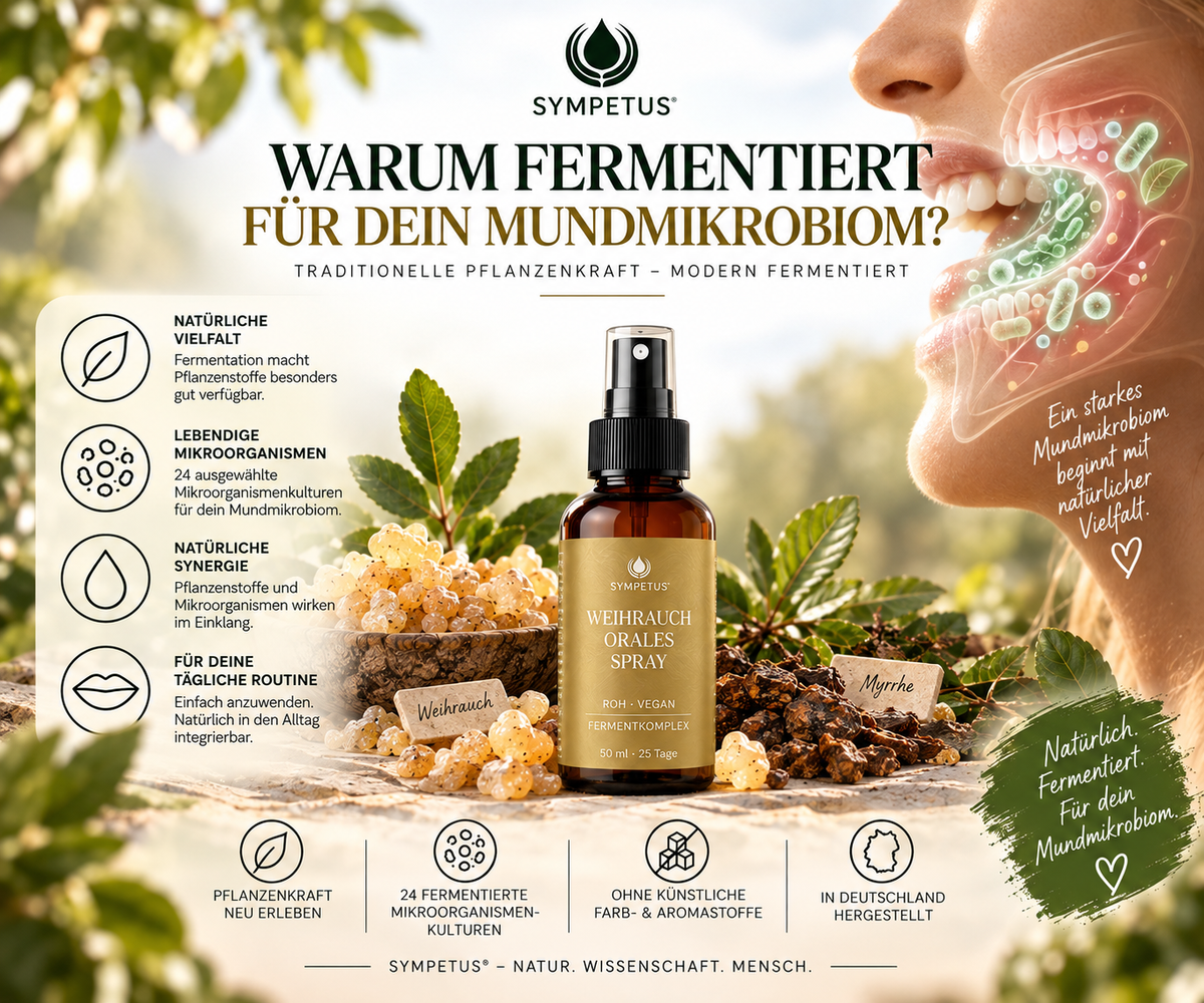 SYMPETUS WEIHRAUCH Orales Spray fermentiert 50 ml