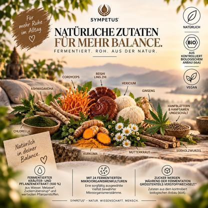 SYMPETUS RELAX BALANCE  Focus-Ferment BIO - 500 ml