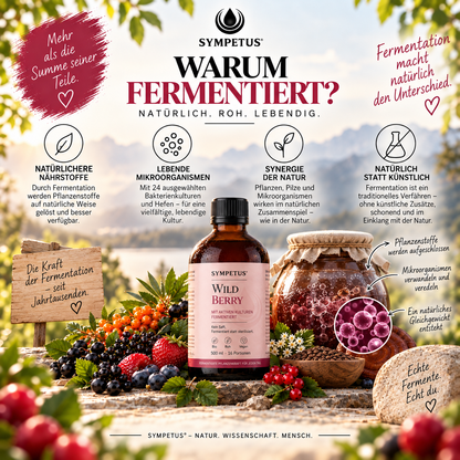 regiogan BAIES ferment végétal cru biologique bouteille en verre de 500 ml