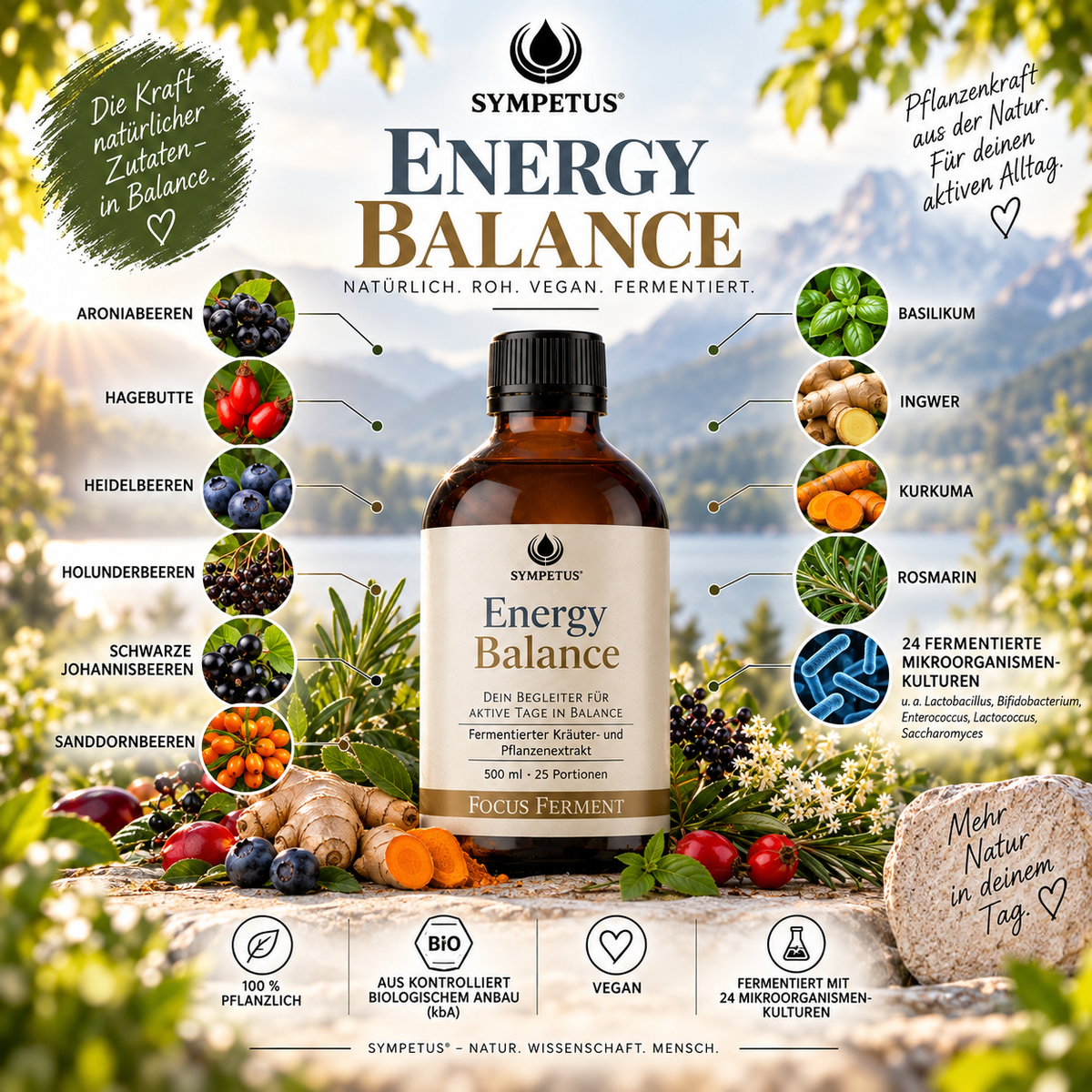 SYMPETUS ENERGY BALANCE Focus-Ferment BIO 500 ml