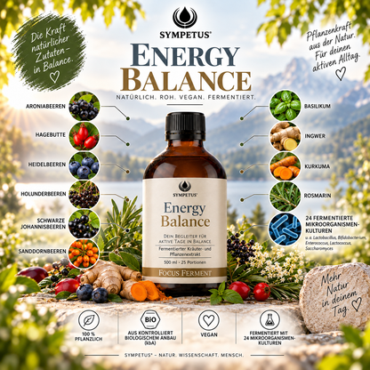 SYMPETUS ENERGY BALANCE Focus-Ferment BIO 500 ml