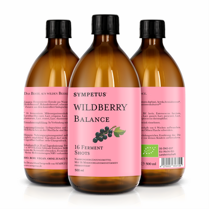 SYMPETUS WILDBERRY BALANCE Ferment 16 Shots BIO - 500 ml