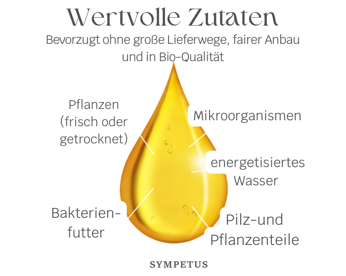 SYMPETUS BITTER TROPFEN bio FERMENT-KOMPLEX - 50 ml Glas-Flasche mit Pipette
