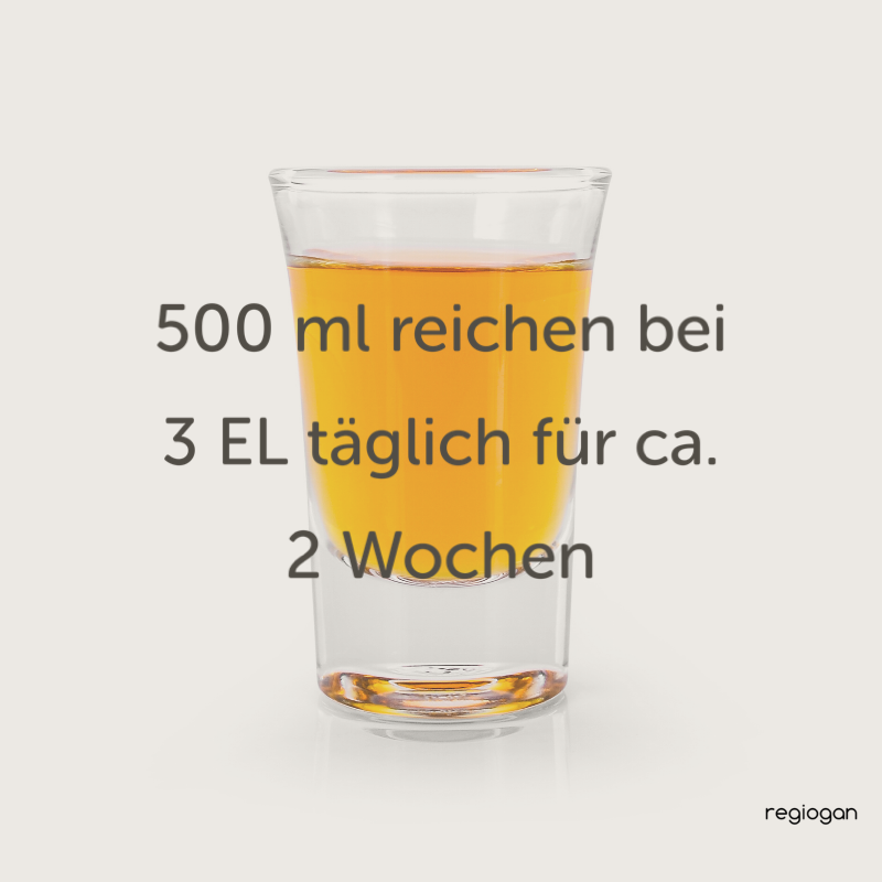 regiogan KURKUMA-CHILI-INGWER rohes bio Pflanzenferment 500 ml Glasflasche