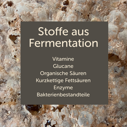 regiogan BITTER Wild Herb Ferment ORGANIC - 500 ml
